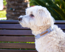 Load image into Gallery viewer, Lilac Serenity Dog Collar (Personalization Available)
