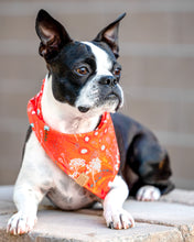Load image into Gallery viewer, Vibrant Meadow Dog Bandana (Personalization Available)

