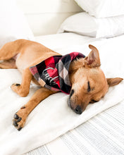 Load image into Gallery viewer, Lumberjack Plaid Flannel Dog Bandana (Personalization Available)

