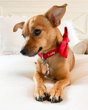 Load image into Gallery viewer, Classic Red Dog Bow Tie
