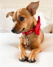 Load image into Gallery viewer, Classic Red Dog Collar (Personalization Available)

