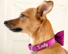 Load image into Gallery viewer, Dog Collar Personalization (Add-On)
