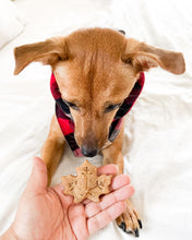 Load image into Gallery viewer, Fall Oak &amp; Maple Leaf Shaped Dog Biscuit Cookie Cutter (Bundle Available)
