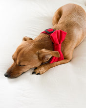 Load image into Gallery viewer, Classic Red Dog Bow Tie
