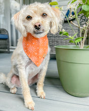 Load image into Gallery viewer, Orange Burst Dog Bandana (Personalization Available)
