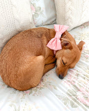 Load image into Gallery viewer, Darling Little Bunny Bow Tie (Sailor Bow Add-On Available)
