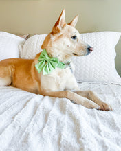 Load image into Gallery viewer, Darling Little Bunny Bow Tie (Sailor Bow Add-On Available)
