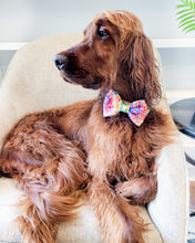 Load image into Gallery viewer, Kaleidoscope Dog Bow Tie
