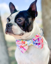 Load image into Gallery viewer, Kaleidoscope Dog Bow Tie
