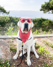 Load image into Gallery viewer, Star-spangled Dog Bandana (Personalization Available)

