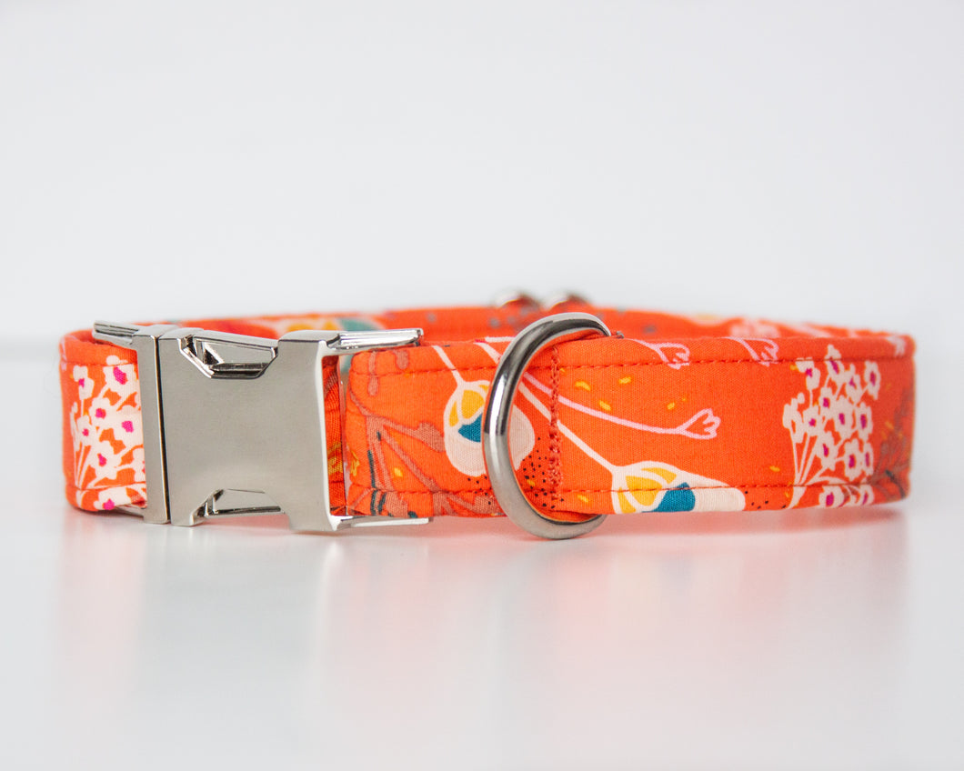 Vibrant Meadow Dog Collar (Personalization Available)