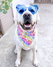Load image into Gallery viewer, Kaleidoscope Dog Bandana
