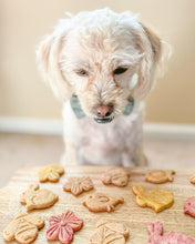 Load image into Gallery viewer, Springtime Shaped Cookie Cutters (Bundle of 3)
