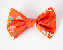 Load image into Gallery viewer, Vibrant Meadow Dog Bow Tie
