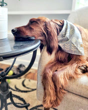 Load image into Gallery viewer, Flower Patch Dog Bandana (Personalization Available)
