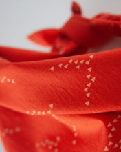Load image into Gallery viewer, Birds in Flight Dog Bandana
