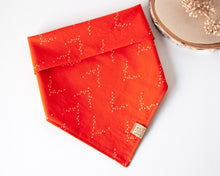 Load image into Gallery viewer, Birds in Flight Dog Bandana
