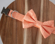 Load image into Gallery viewer, Dazzling Coral Dog Collar (Personalization Available)
