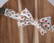 Load image into Gallery viewer, Golden Blooms Dog Collar
