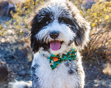 Load image into Gallery viewer, Citrus Bliss Dog Bow Tie
