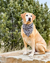 Load image into Gallery viewer, Gray Pines Dog Bandana
