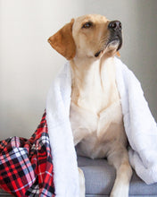 Load image into Gallery viewer, Ruby Red Plaid Flannel Blanket with embroidery  &quot;A house is not a home without a dog&quot;

