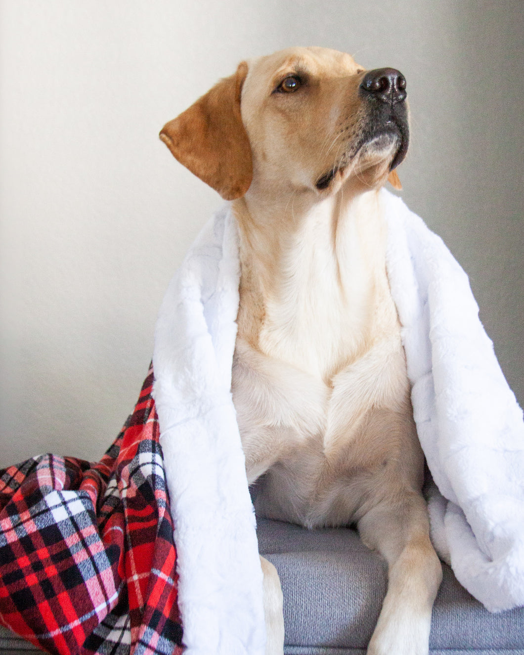Ruby Red Plaid Flannel Blanket with embroidery  