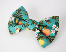 Load image into Gallery viewer, Citrus Bliss Dog Bow Tie
