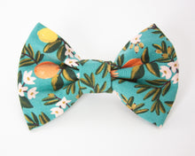 Load image into Gallery viewer, Citrus Bliss Dog Bow Tie

