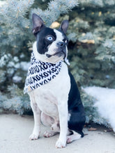 Load image into Gallery viewer, XOXO Hugs &amp; Kisses Dog Bandana
