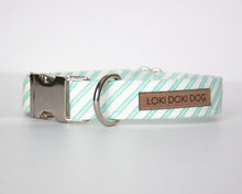 Load image into Gallery viewer, Aqua Stripes Dog Collar

