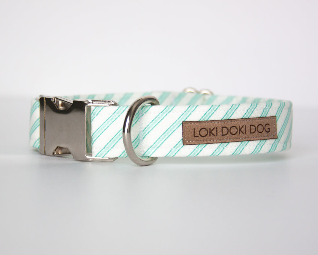 Aqua Stripes Dog Collar