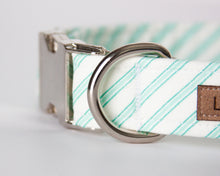 Load image into Gallery viewer, Aqua Stripes Dog Collar
