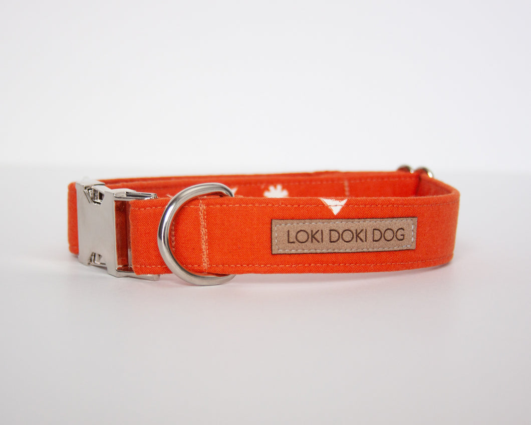Pumpkin Spice Dog Collar (Personalization Available)