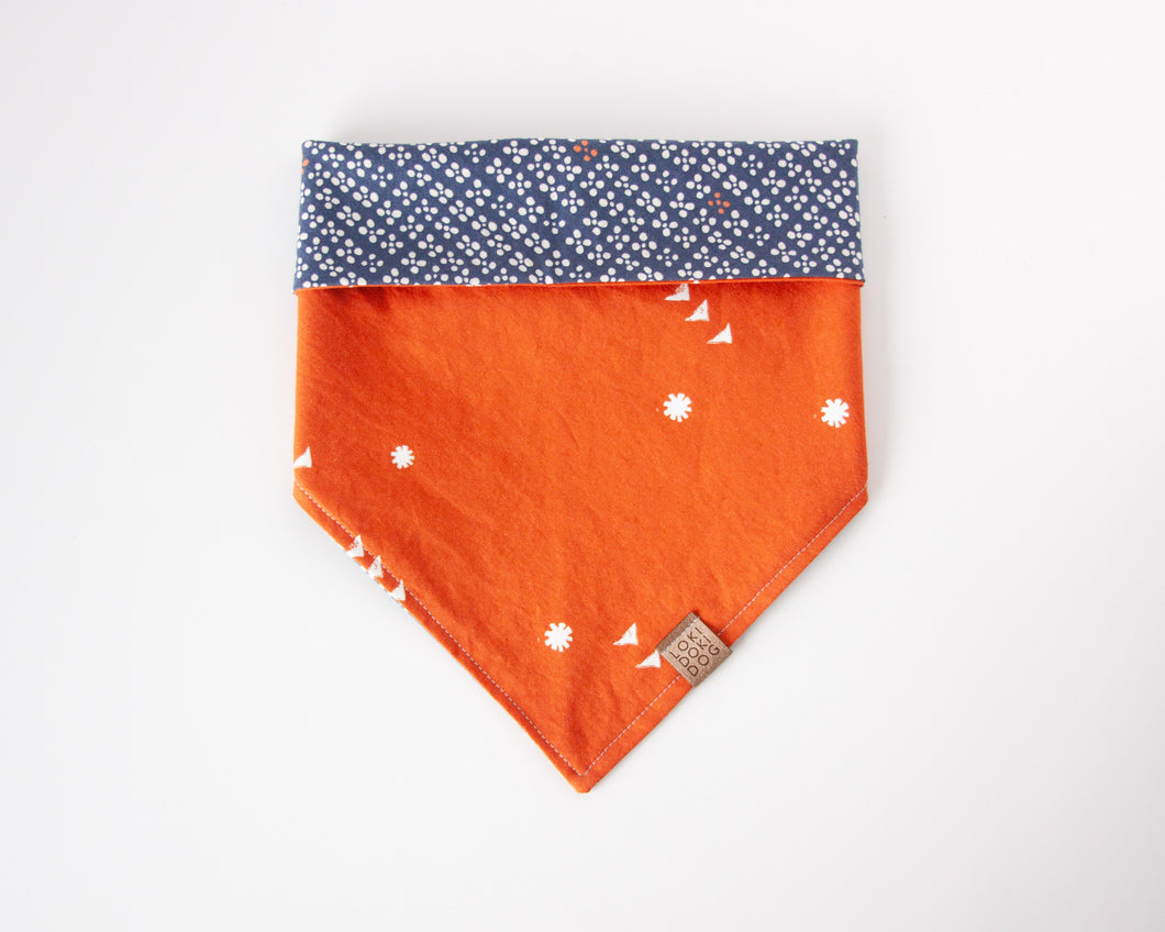 Pumpkin Spice Dog Bandana (Reversible)