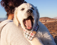 Load image into Gallery viewer, SO Plaid Light Dog Bandana
