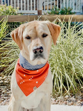 Load image into Gallery viewer, Pumpkin Spice Dog Bandana (Reversible)
