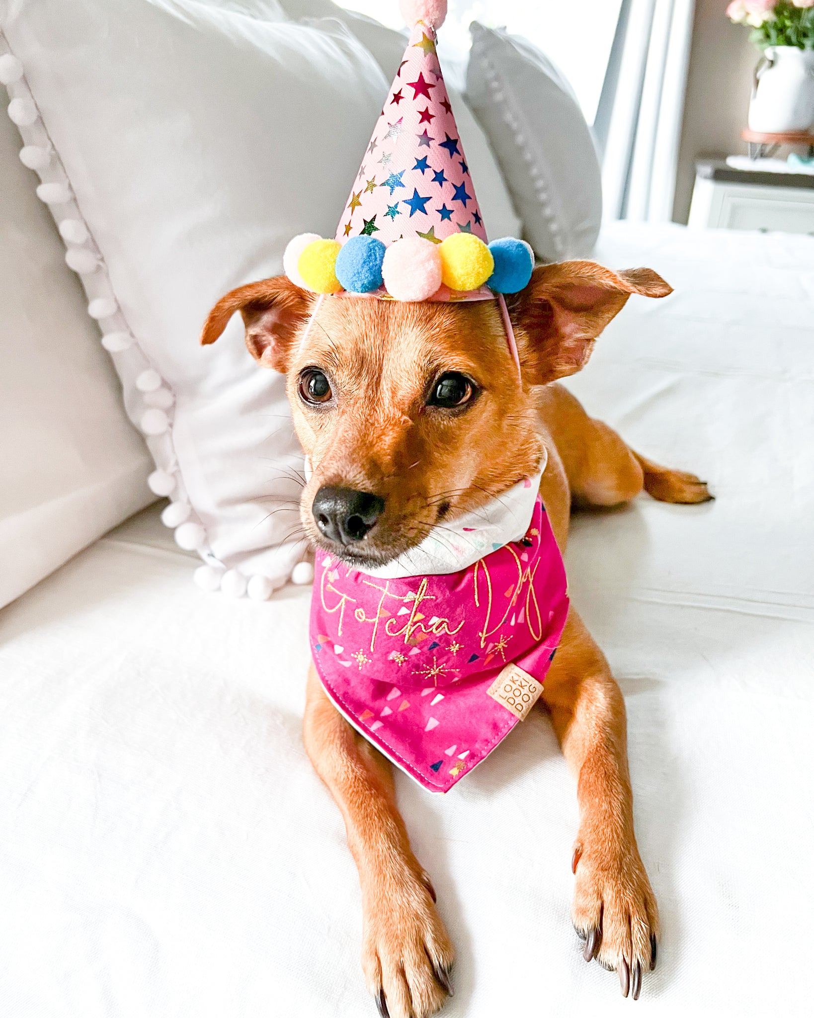 Confetti Hats Birthday Dog Bandana Gotcha Day Dog Bandanas