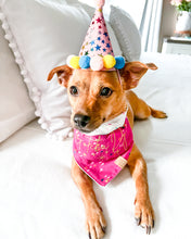 Load image into Gallery viewer, Confetti &amp; Hats - Birthday Dog Bandana &amp; Gotcha Day Dog Bandanas (Reversible Available)
