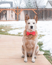 Load image into Gallery viewer, Sweetheart Dog Bow Tie
