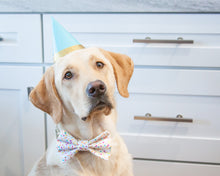 Load image into Gallery viewer, Sprinkles Dog Bow Tie
