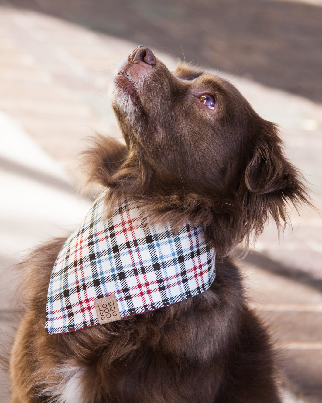 SO Plaid Light Dog Bandana