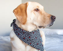 Cargar imagen en el visor de la galería, Bandana para perro Mad Love

