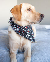 Cargar imagen en el visor de la galería, Bandana para perro Mad Love
