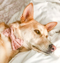 Load image into Gallery viewer, Boho Dream Dog Bow Tie
