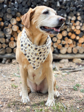 Load image into Gallery viewer, Rooted Solitude Dog Bandana

