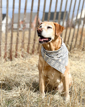 Load image into Gallery viewer, Flower Patch Dog Bandana (Personalization Available)

