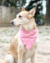 Load image into Gallery viewer, Sweet Sunshine Dog Bandana
