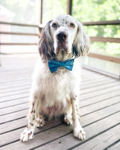 Load image into Gallery viewer, Confetti Dog Collar (Personalization Available)
