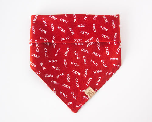 Red Heart XO Dog Collar (Personalization Available) – Loki Doki Dog